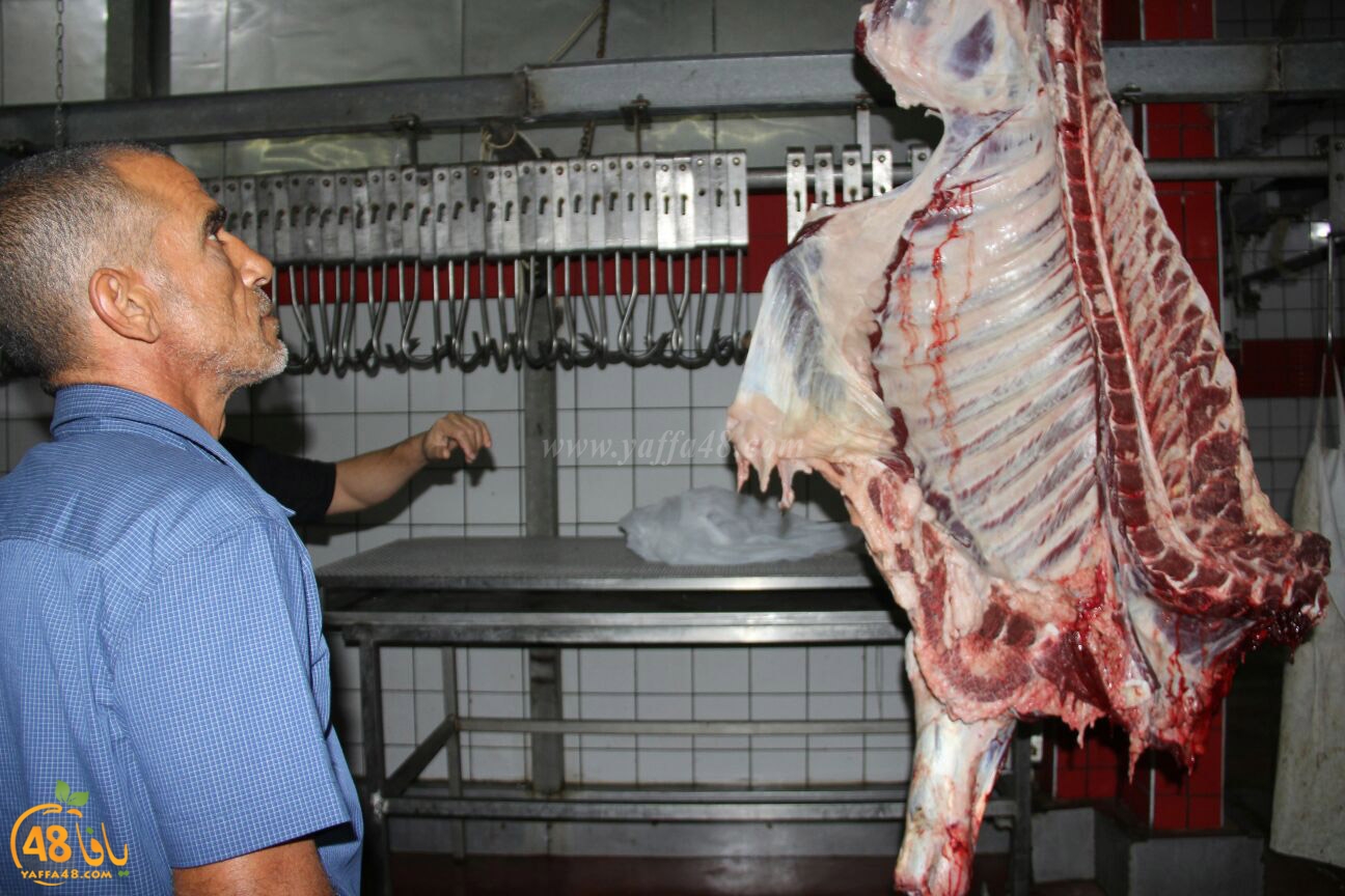 jam3iya yaffa 3ojolej (5).jpg